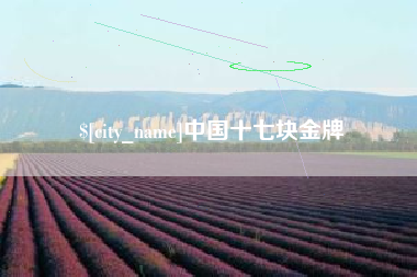 公主岭中国十七块金牌