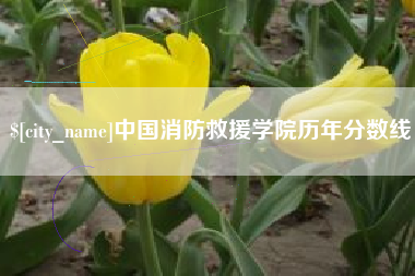 公主岭中国消防救援学院历年分数线