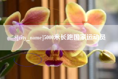 公主岭5000米长跑国家运动员