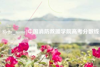公主岭中国消防救援学院高考分数线