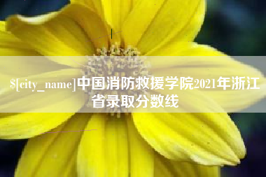 公主岭中国消防救援学院2021年浙江省录取分数线