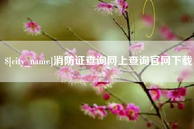 公主岭消防证查询网上查询官网下载