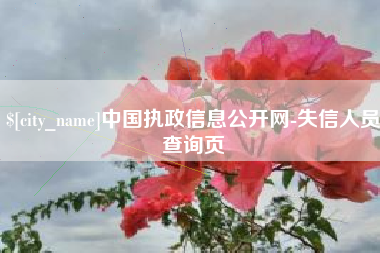 公主岭中国执政信息公开网-失信人员查询页