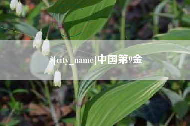 公主岭中国第9金 公主岭中国第9金