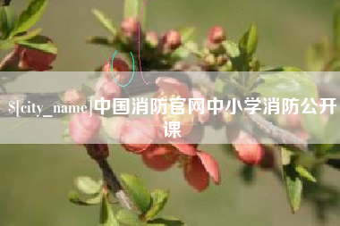 公主岭中国消防官网中小学消防公开课