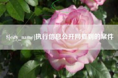 公主岭执行信息公开网查到的案件