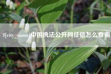 公主岭中国执法公开网征信怎么查询