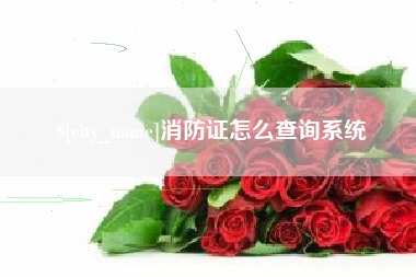 公主岭消防证怎么查询系统