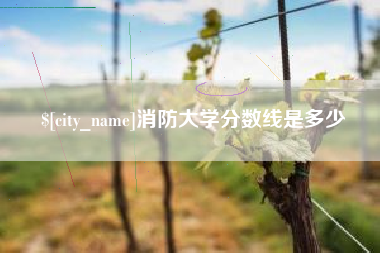 公主岭消防大学分数线是多少