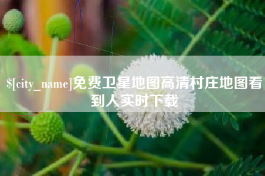 公主岭免费卫星地图高清村庄地图看到人实时下载