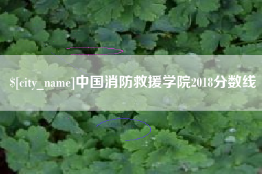 公主岭中国消防救援学院2018分数线