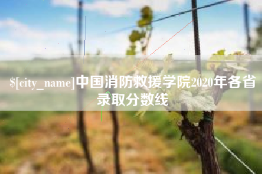 公主岭中国消防救援学院2020年各省录取分数线