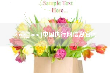 公主岭中国执行网信息官网