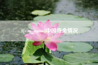 公主岭中国夺金情况