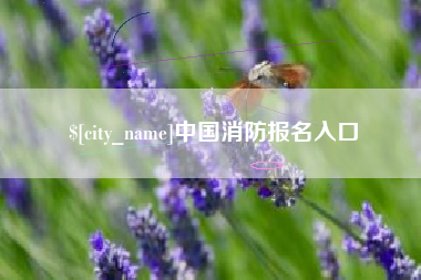 公主岭中国消防报名入口