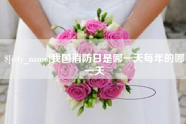 公主岭我国消防日是哪一天每年的哪一天
