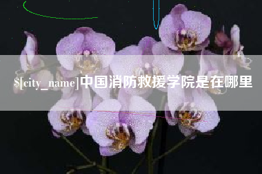 公主岭中国消防救援学院是在哪里