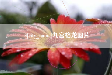 公主岭九宫格龙图片