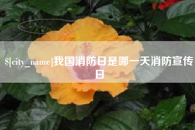 公主岭我国消防日是哪一天消防宣传日