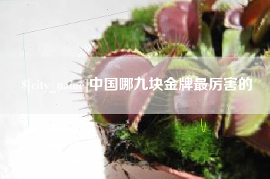 公主岭中国哪九块金牌最厉害的