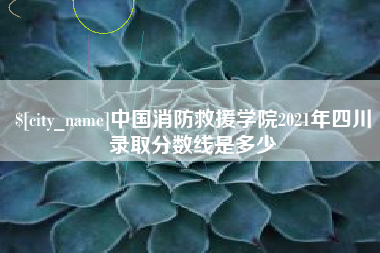 公主岭中国消防救援学院2021年四川录取分数线是多少