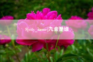 公主岭九金是谁