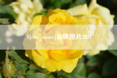 公主岭金牌图片2021