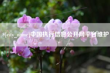公主岭中国执行信息公开网平台维护