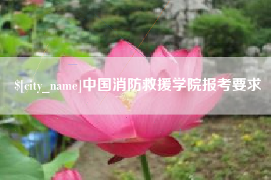 公主岭中国消防救援学院报考要求
