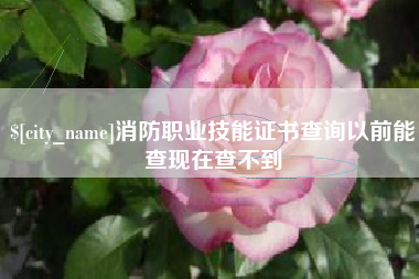 公主岭消防职业技能证书查询以前能查现在查不到