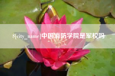公主岭中国消防学院是军校吗