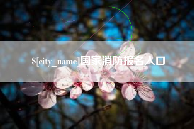 公主岭国家消防报名入口