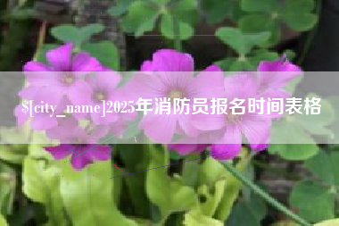 公主岭2025年消防员报名时间表格