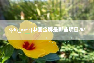 公主岭中国金牌是哪些项目2021