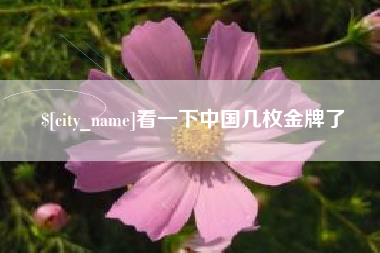 公主岭看一下中国几枚金牌了