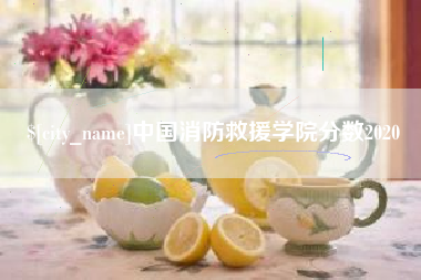 公主岭中国消防救援学院分数2020