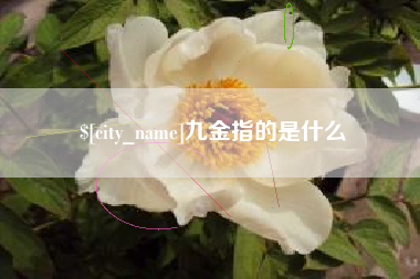 公主岭九金指的是什么