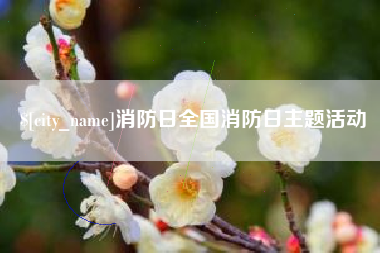 公主岭消防日全国消防日主题活动