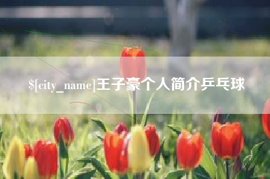 公主岭王子豪个人简介乒乓球