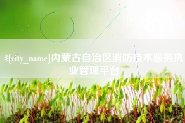 公主岭内蒙古自治区消防技术服务执业管理平台