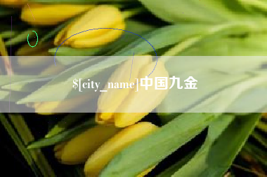 公主岭中国九金