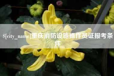 公主岭重庆消防设施操作员证报考条件