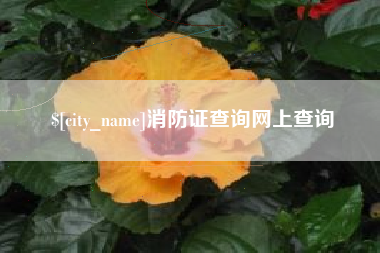 公主岭消防证查询网上查询