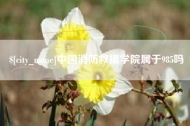公主岭中国消防救援学院属于985吗
