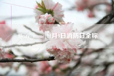 公主岭11月9日消防日全称