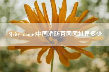 公主岭中国消防官网网址是多少