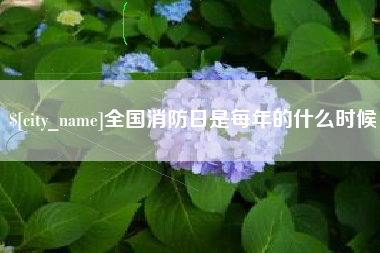 公主岭全国消防日是每年的什么时候