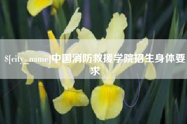 公主岭中国消防救援学院招生身体要求