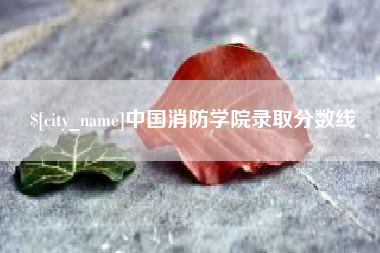 公主岭中国消防学院录取分数线