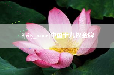 公主岭中国十九枚金牌